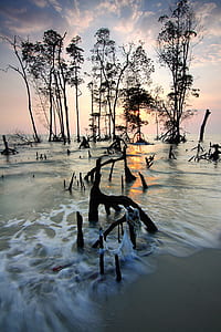 sea, dawn, landscape, nature thumbnail