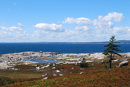 Coastline Landscape in Nova Scotia, Canada thumbnail