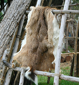 brown and white animal pelt thumbnail