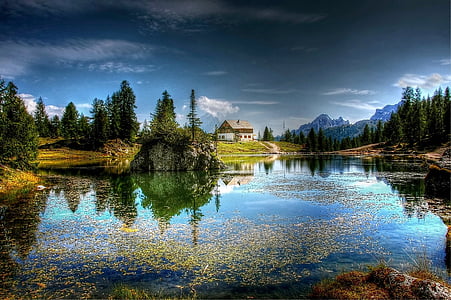 lake and trees scenery thumbnail