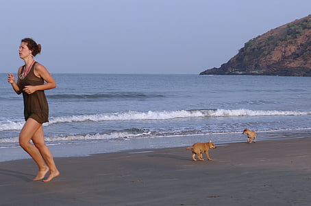 woman standing beside shoreline with two dogs thumbnail
