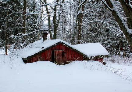 white snow thumbnail