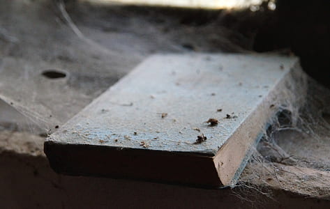close up photo of hardbound book on rock thumbnail