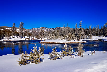 green trees and body of water thumbnail