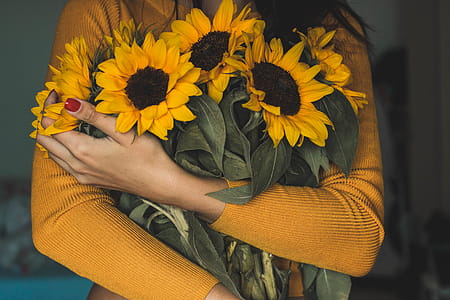 Woman Holding Bunch Of Sunflowers thumbnail
