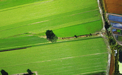 aerial view of green grass fields thumbnail