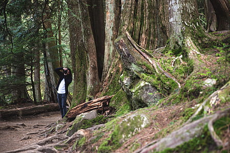 A nature photographer clicking photo in the forest near a chopped down tree thumbnail