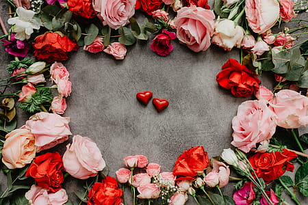 Flowers flat lay thumbnail