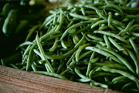 shallow focus photography of green vegetables thumbnail