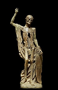 brown skeleton sculpture thumbnail