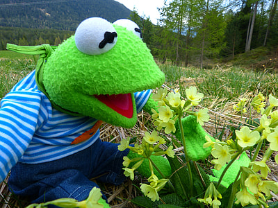 Sesame Street Kermit Frog plush toy beside petaled flowers during daytime thumbnail