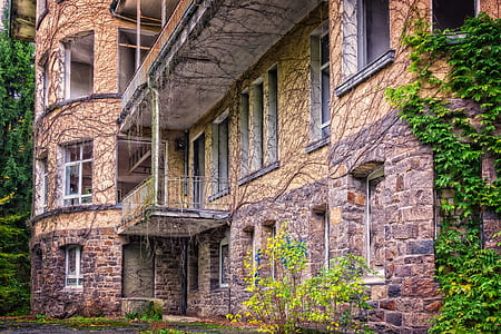 brown and beige brick house facade with vines thumbnail