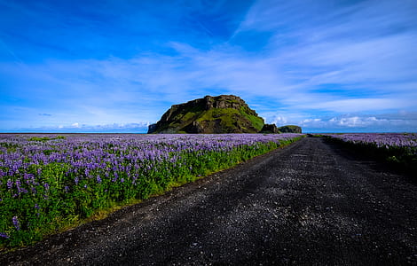 road, landscape, nature, sky thumbnail