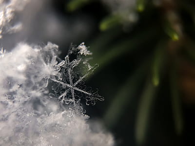 selective focus of snow flake thumbnail