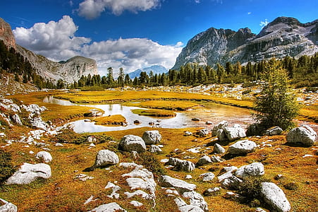 wood, landscape, nature, sky thumbnail