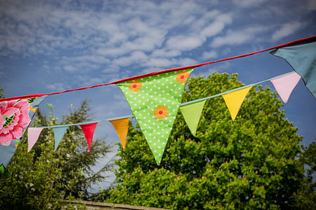 assorted-color buntings near green leaf tree thumbnail