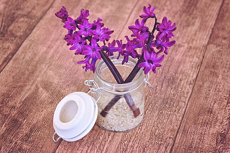 pink petaled flower placed on Mason jar thumbnail