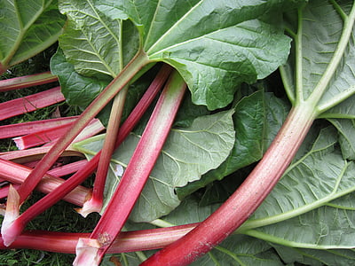 green vegetables thumbnail
