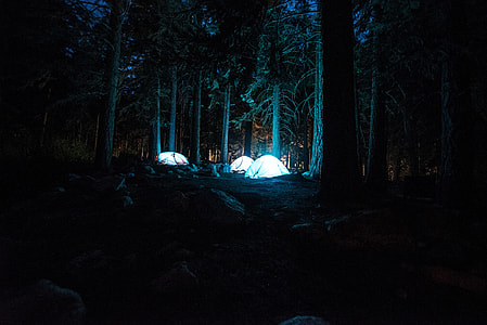 three lighted dome tents in fores during night time thumbnail