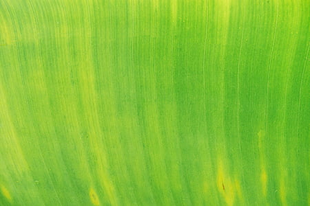green painting thumbnail