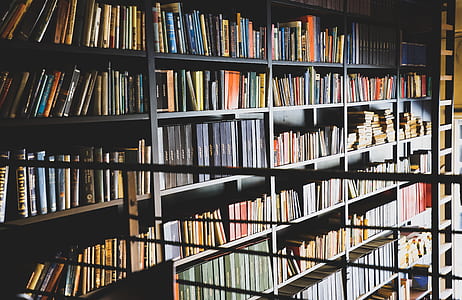 books on black wooden shelves thumbnail