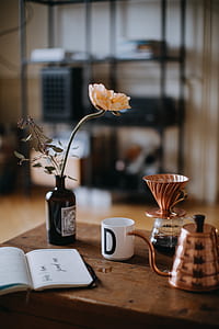 selective focus photography of opened book beside black flower vase and mug thumbnail