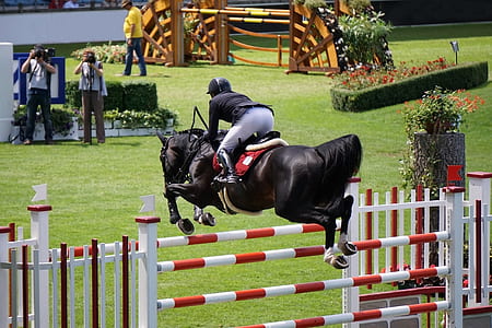 jockey riding black horse jumping on course thumbnail