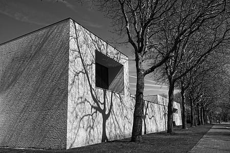 grayscale photography of concrete building near bare trees thumbnail