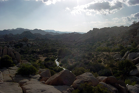 Sunlight and landscape at Joshua Tree National Park, California thumbnail