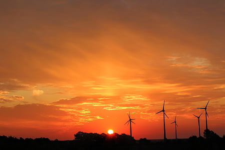 five white windmills at golden hour thumbnail