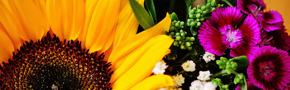 closeup photo of sunflower and pink petaled flowers thumbnail