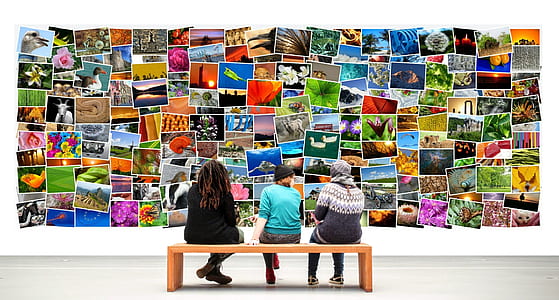 three person sitting on brown wooden bench thumbnail