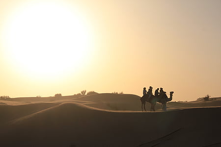 silhouette of person riding camel during sunset thumbnail