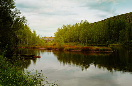 body of water in the middle of trees thumbnail