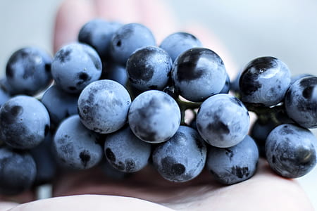 black berries thumbnail