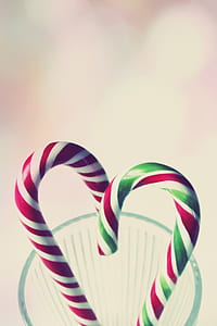 selective focus photo of two multicolored candy cane thumbnail