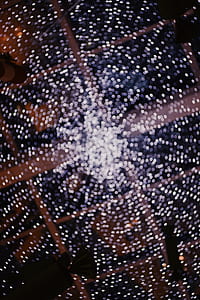shallow photography of lights thumbnail