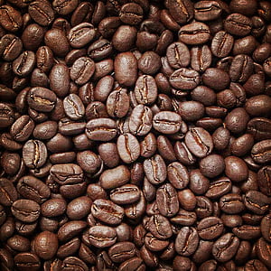 roast coffee bean lot thumbnail