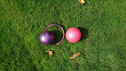 purple and pink stability balls outdoor thumbnail