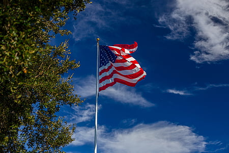 flag of U.S.A thumbnail