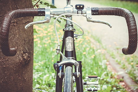 black road bicycle leaning on tree thumbnail