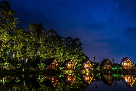 five lighted house near green trees at night time thumbnail