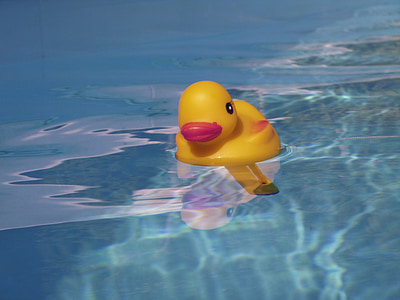 yellow duckling floater on body of water thumbnail