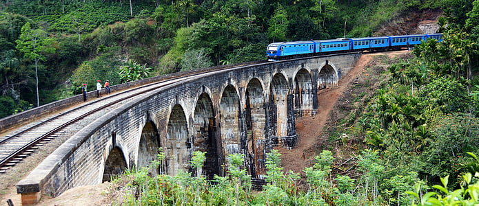 blue train on track at concrete bridge surrounded by green leafed trees thumbnail