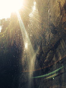sun raise through trees thumbnail