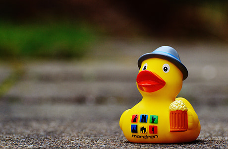 shallow focus photography of yellow bird toy thumbnail
