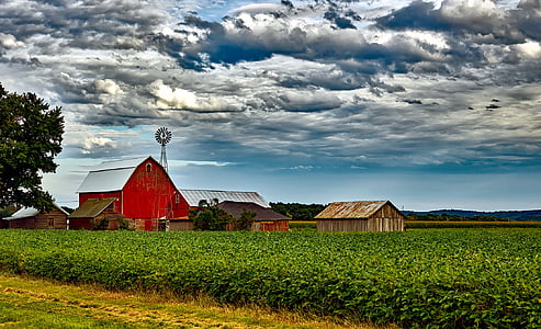 red barn surrounded by green plants thumbnail