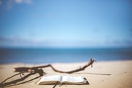selective focus photo of an opened book near shoreline thumbnail