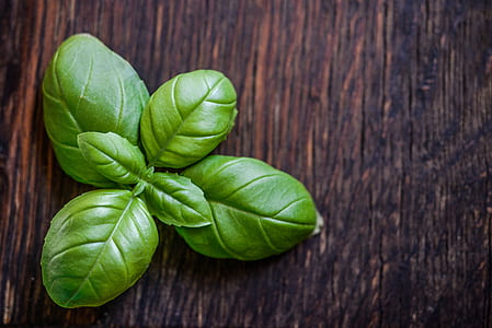green leaf plant on wood thumbnail