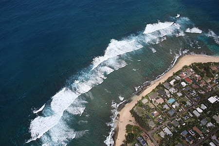 aerial photography of buildings near sea thumbnail